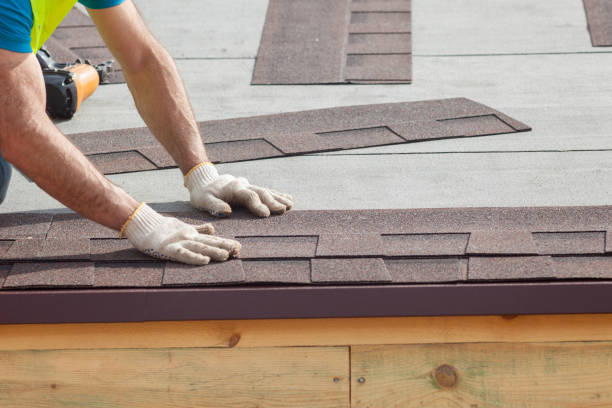 Best Roof Moss and Algae Removal  in Hardeeville, SC